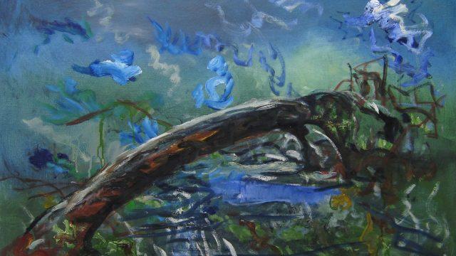 2016-20 Pintura, fotografía.